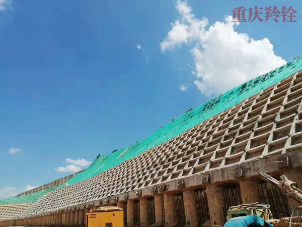 大渡河雙江口水電站地下工程安全監(jiān)測土建施工項目